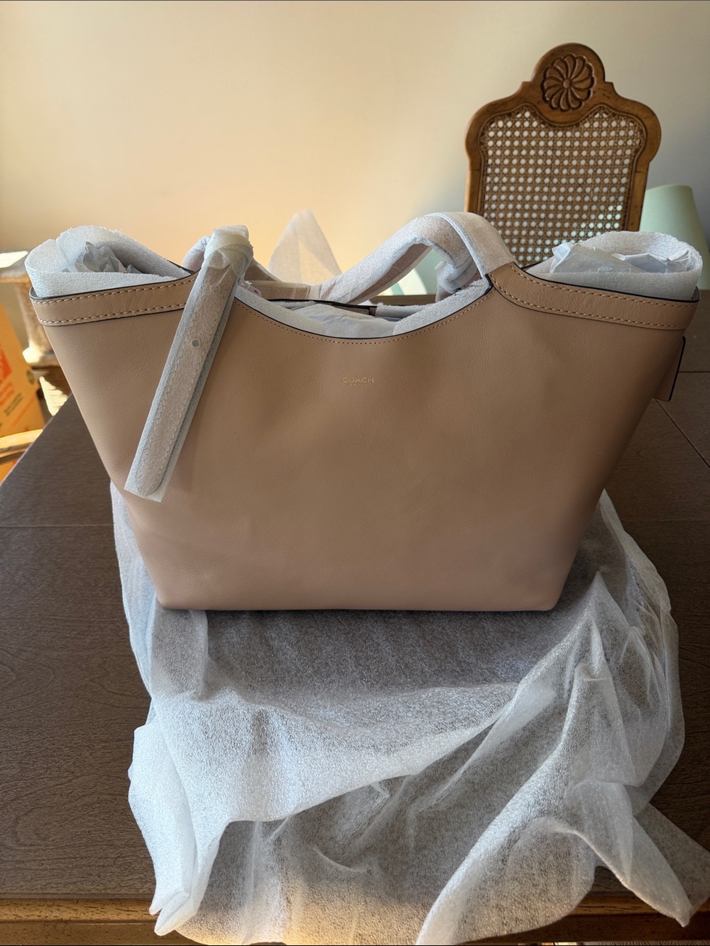 Coach Gramercy Leather Tote in Cream NWT
